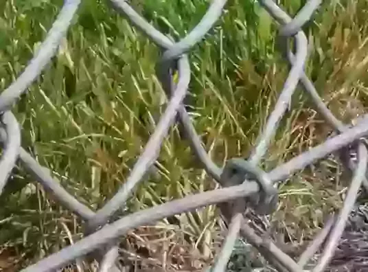 Hogrings & Rapid Pliers